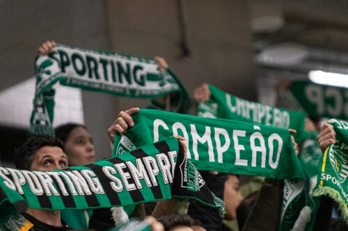 Fotografia 3